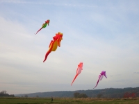 Artlenburg_2014_11_23_001