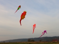 Artlenburg_2014_11_23_003