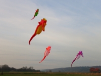 Artlenburg_2014_11_23_005