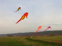 Artlenburg_2014_11_23_006