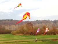 Artlenburg_2014_11_23_008