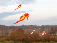 Artlenburg_2014_11_23_009