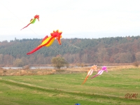 Artlenburg_2014_11_23_010