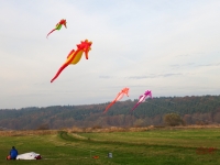 Artlenburg_2014_11_23_011
