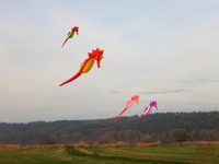 Artlenburg_2014_11_23_012