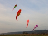 Artlenburg_2014_11_23_003