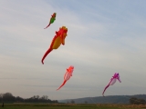 Artlenburg_2014_11_23_005