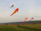 Artlenburg_2014_11_23_006