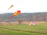 Artlenburg_2014_11_23_010