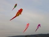 Artlenburg_2014_11_23_014