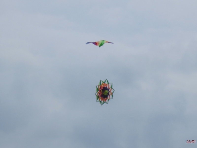 Drachenfest_2014_005