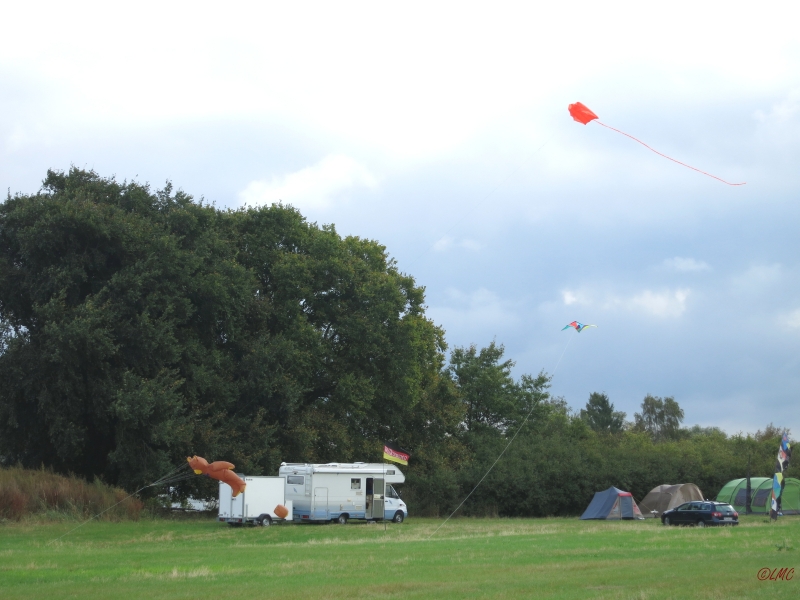 Drachenfest_2014_008