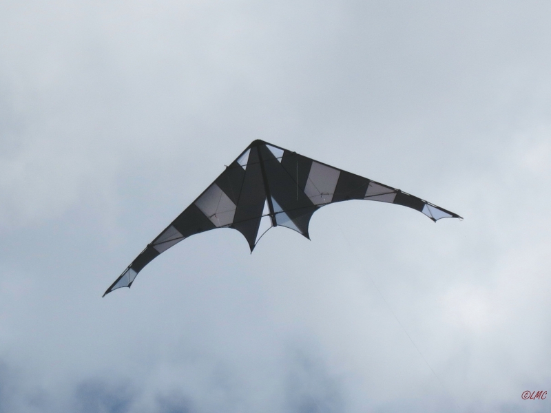 Drachenfest_2014_020