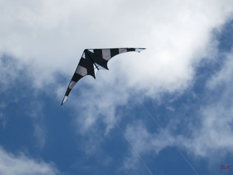 Drachenfest_2014_021