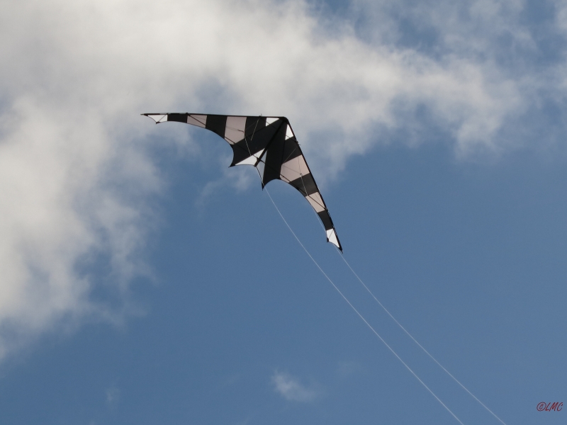 Drachenfest_2014_022