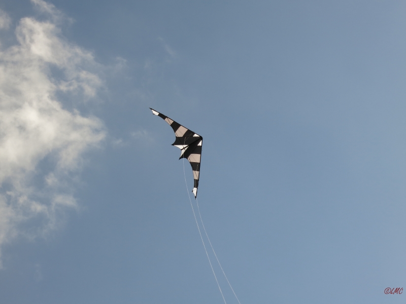 Drachenfest_2014_023