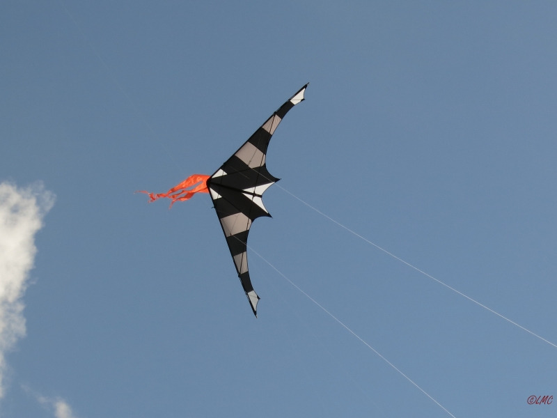 Drachenfest_2014_024