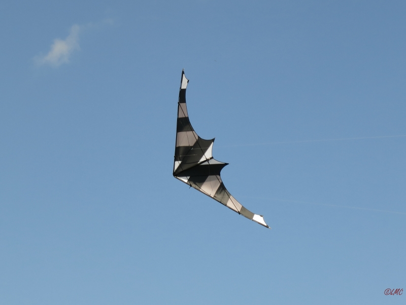 Drachenfest_2014_025
