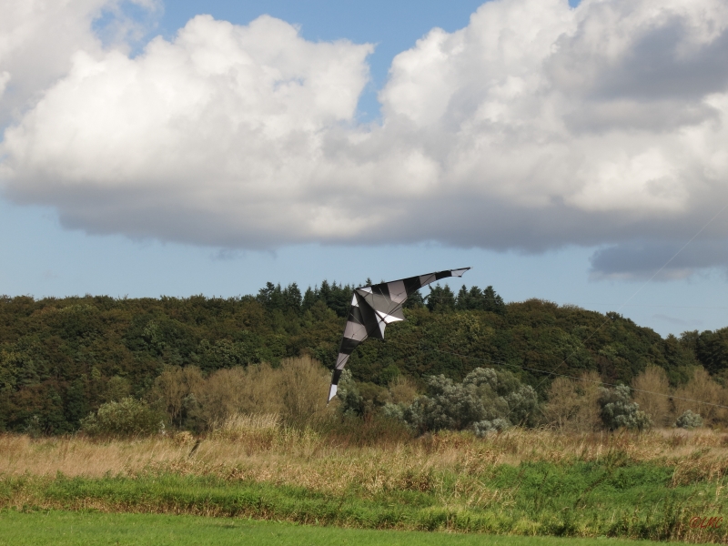Drachenfest_2014_026