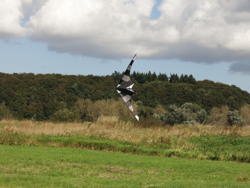 Drachenfest_2014_027