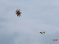 Drachenfest_2014_004