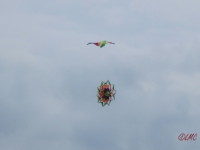 Drachenfest_2014_005