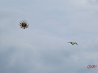 Drachenfest_2014_006