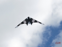 Drachenfest_2014_016