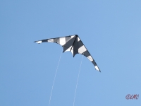 Drachenfest_2014_017