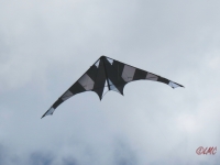 Drachenfest_2014_020