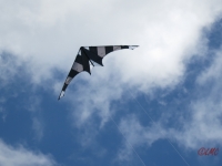 Drachenfest_2014_021