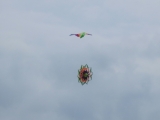 Drachenfest_2014_005
