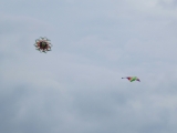 Drachenfest_2014_006