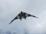 Drachenfest_2014_020