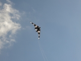 Drachenfest_2014_023