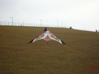 Buesum_2013_009