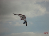 Buesum_2013_010
