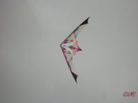 Buesum_2013_016
