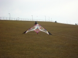 Buesum_2013_009