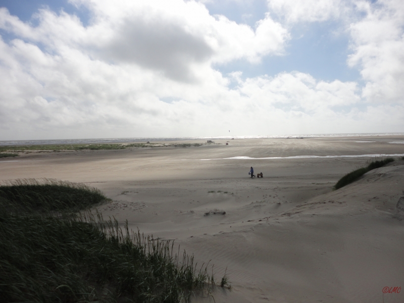 Fanoe_2013_006
