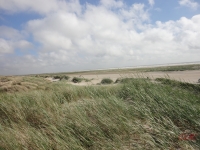Fanoe_2013_005