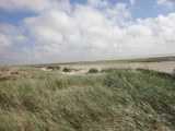 Fanoe_2013_005