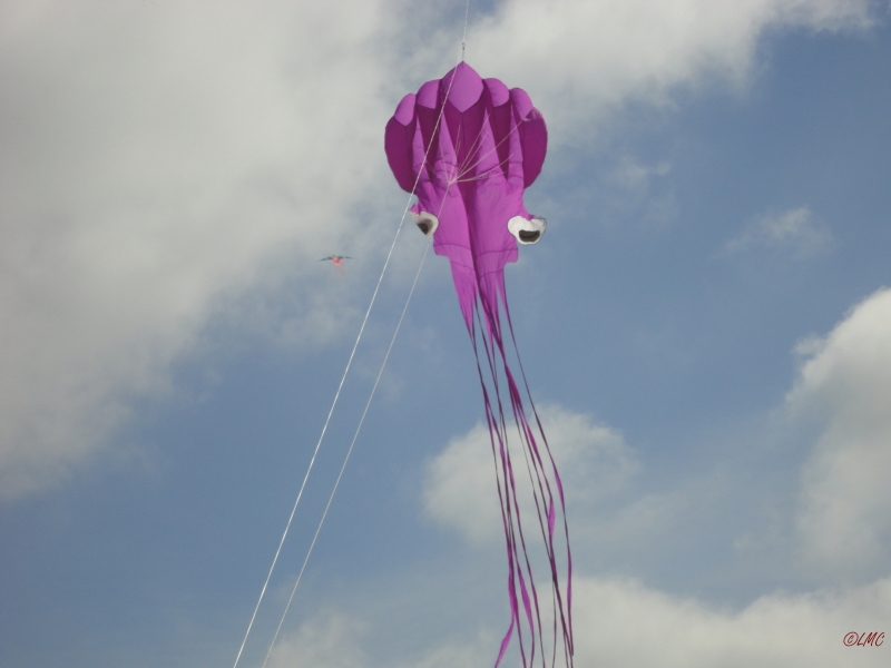Fanoe_2013_015