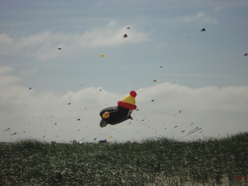 Fanoe_2013_016