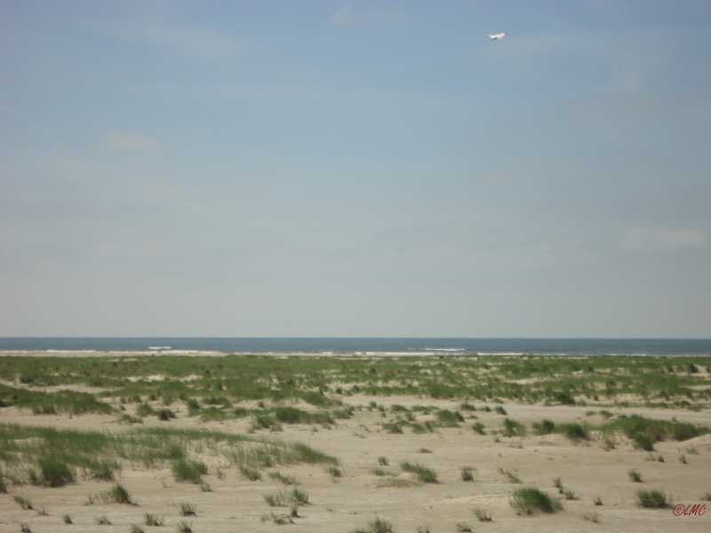 Fanoe_2013_019
