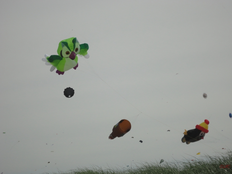 Fanoe_2013_021