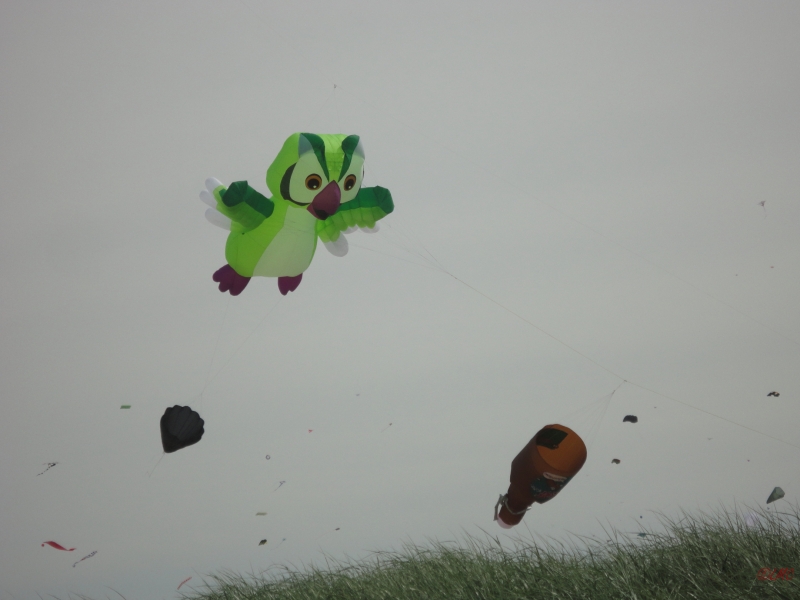 Fanoe_2013_023
