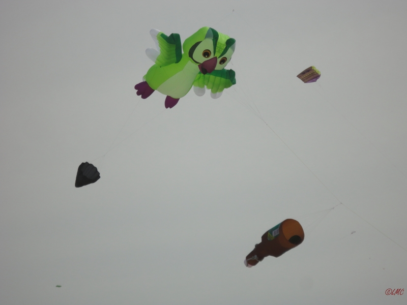 Fanoe_2013_024