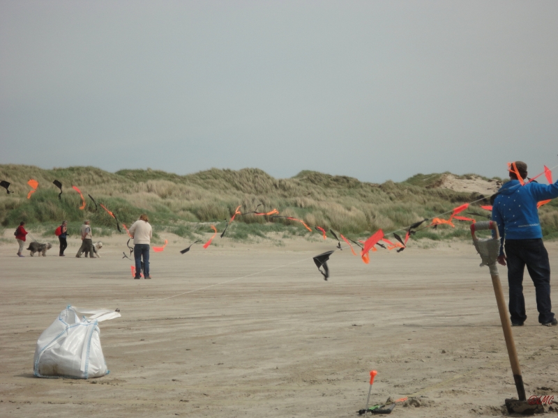 Fanoe_2013_026