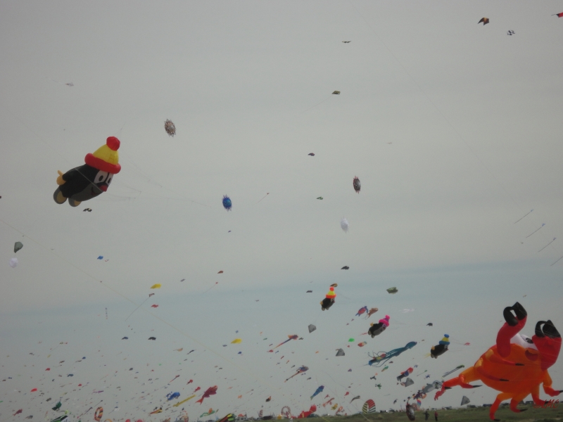 Fanoe_2013_027